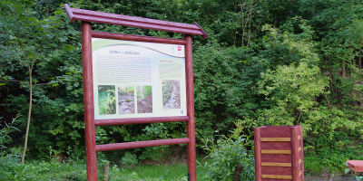 Ścieżka w Majdanie Starym